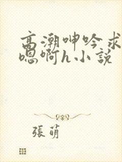 高潮呻吟求饶h嗯啊h小说