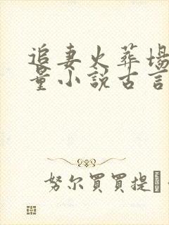 追妻火葬场高质量小说古言