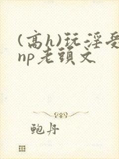 (高h)玩淫受np老头文