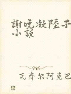 谢晚凝陆子宴的小说