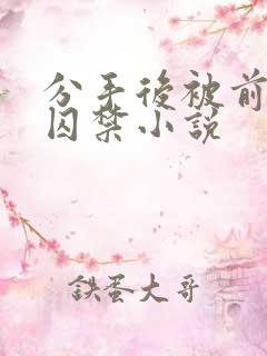 分手后被前男友囚禁小说