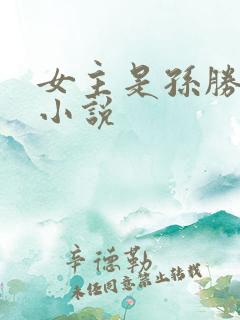 女主是孙胜完的小说