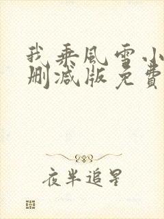 我乘风雪小说无删减版免费阅读