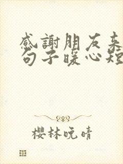 感谢朋友来访的句子暖心短句