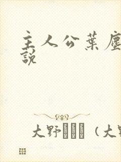 主人公叶尘的小说