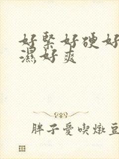 好紧好硬好大好湿好爽