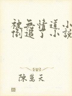 被无情道小师弟倒追了小说txt下载