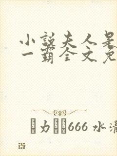 小说夫人是京城一霸全文免费阅读