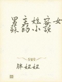 男主姓容女主姓苏的小说
