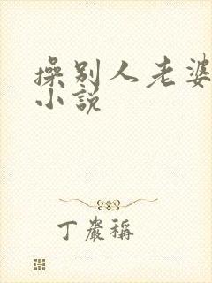 操别人老婆逼的小说