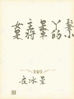 女主是丫鬟男主是将军的小说