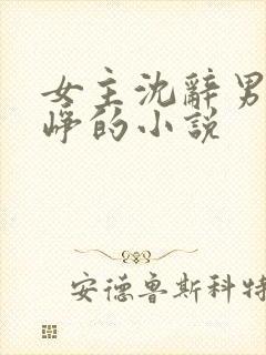 女主沈辞男主贺峥的小说