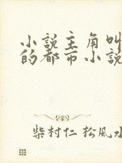 小说主角叫李宇的都市小说