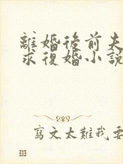 离婚后前夫哭着求复婚小说全文阅读