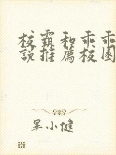 校霸和乖乖女小说推荐校园甜宠文