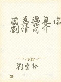 因为遇见你分集剧情简介