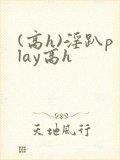 (高h)淫趴play高h