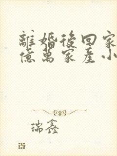 离婚后回家继承亿万家产小说