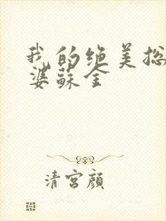 我的绝美总裁老婆苏金