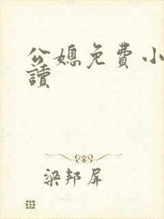 公媳免费小说阅读