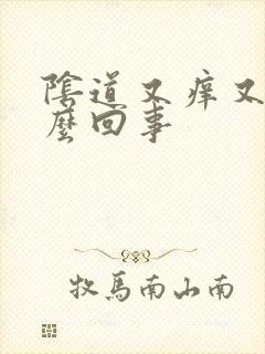 阴道又痒又臭怎么回事