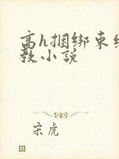 高h捆绑束缚调教小说