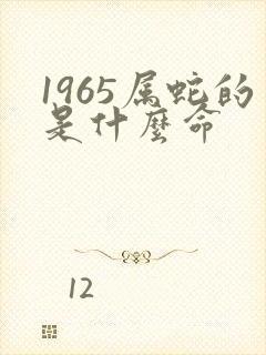 1965属蛇的是什么命