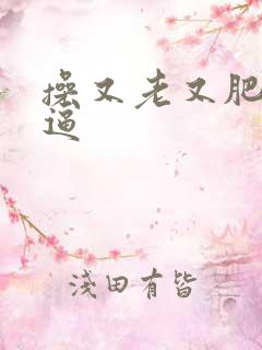 操又老又肥的老逼