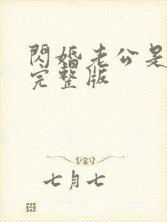 闪婚老公是总裁完整版