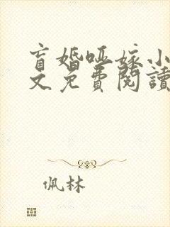 盲婚哑嫁小说全文免费阅读