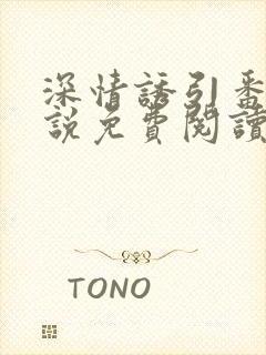 深情诱引番外小说免费阅读