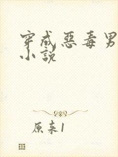 穿成恶毒男配的小说