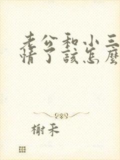 老公和小三有感情了该怎么处理