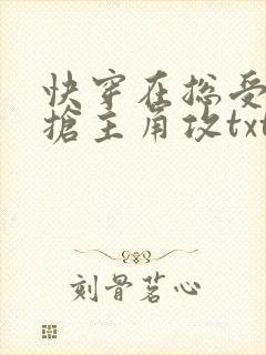 快穿在总受文里抢主角攻txt下载