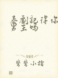 泰剧记得你是双男主吗