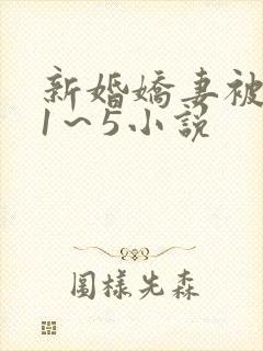 新婚娇妻被黑人1～5小说