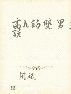 高h的双男主小说