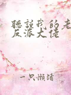 听说我的老婆是反派大佬