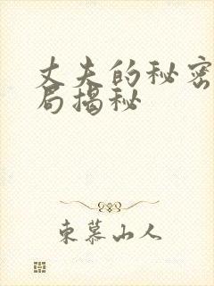 丈夫的秘密大结局揭秘