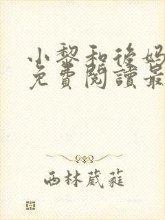 小黎和后妈小说免费阅读最新章节