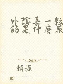 外阴长一粒硬硬的是什么原因