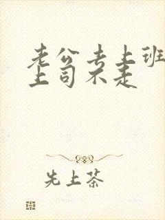 老公去上班丈夫上司不走