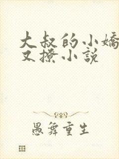 大叔的小娇妻甜又撩小说