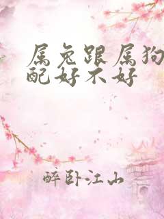 属兔跟属狗的婚配好不好