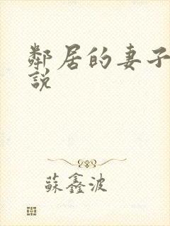 邻居的妻子 小说