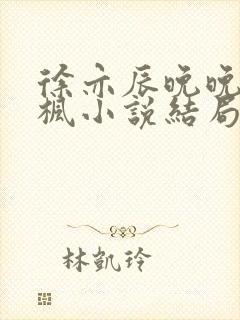 徐亦辰晚晚林蓝枫小说结局是什么