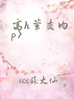 高h荤爽肉〈np〉