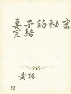 妻子的秘密3已完结