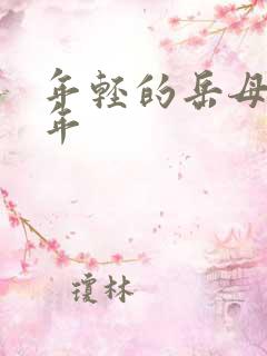 年轻的岳母那些年