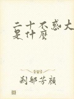 二十不惑大结局是什么